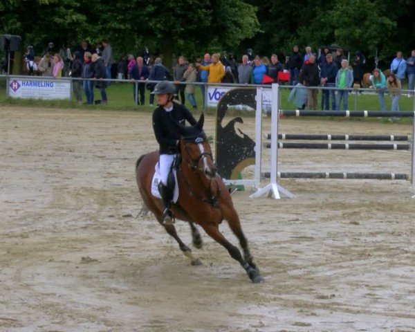 Reitturnier Coesfeld/Lette 2024