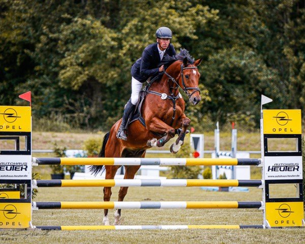 jumper Chacoons Rubin SR (Oldenburg show jumper, 2017, from Chacoon Blue)