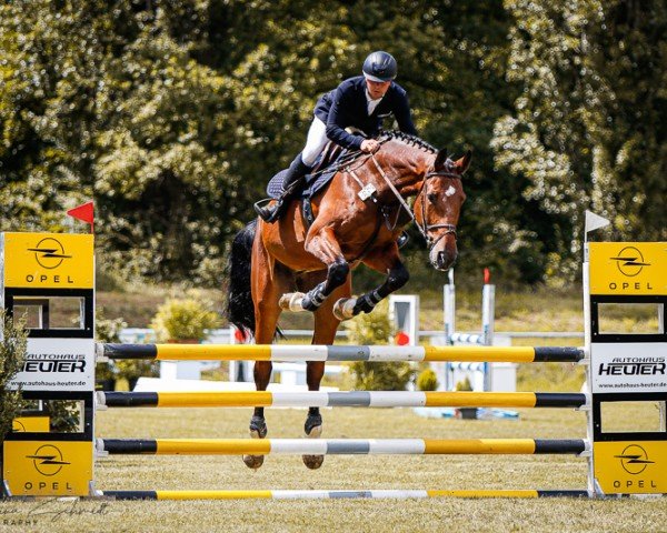 jumper El Chapo 8 (Mecklenburg, 2018, from Eldorado van de Zeshoek)