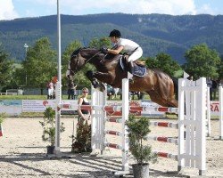 jumper Que Suerte (Holsteiner, 2006, from Quadrigo 4)