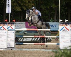 jumper Chares (Holsteiner, 2013, from Clarimo Ask)