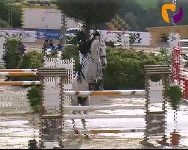 Vosswinkeler Reitertage 2012