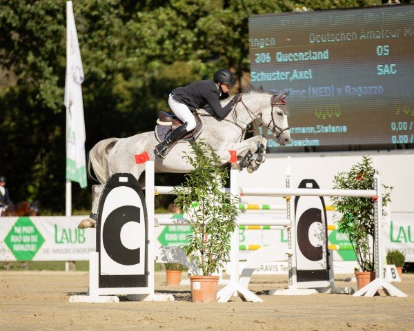 jumper Queensland 27 (Oldenburg show jumper, 2012, from Quality Time)