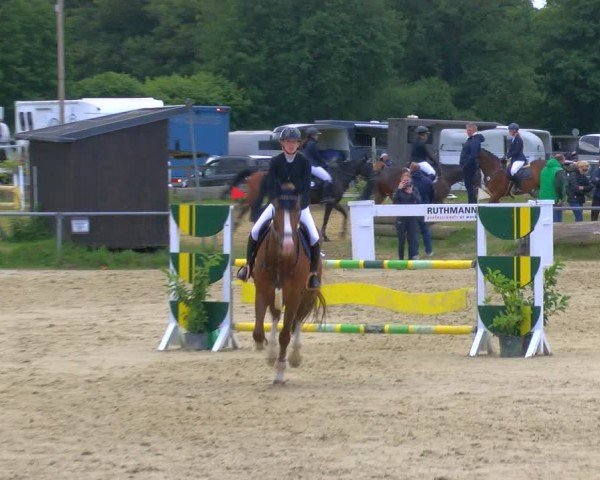 Reitturnier Coesfeld/Lette 2024
