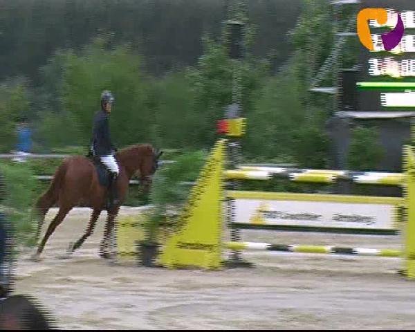 Vosswinkeler Reitertage 2012