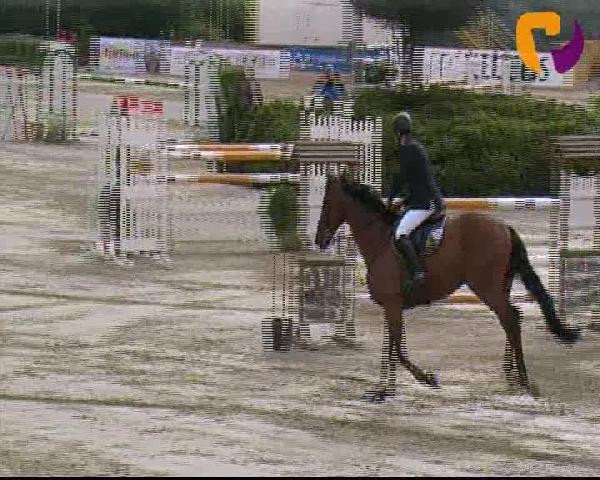 Vosswinkeler Reitertage 2012