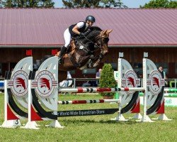 jumper Capital Brrra (German Sport Horse, 2019, from Casskeni II)