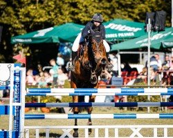 jumper Karrington (Westphalian, 2016, from Kannan)
