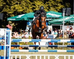 jumper Constare PS (Oldenburg, 2017, from Veyron)