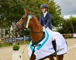 dressage horse WS Ramira (Oldenburg, 2018, from Morricone)