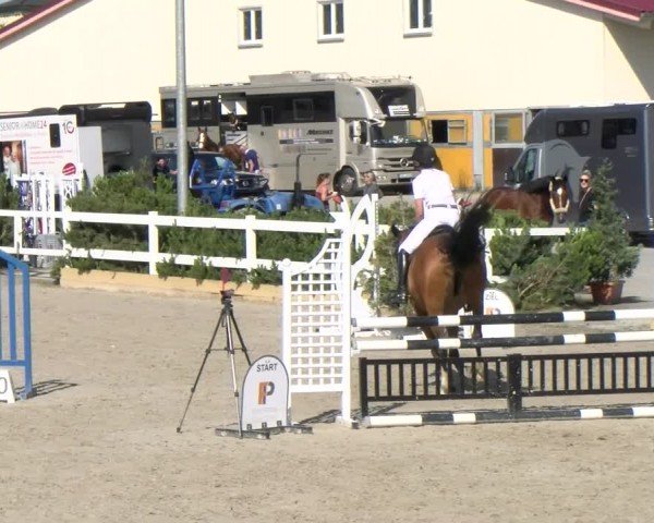 Reitturnier Sauldorf-Boll 2024