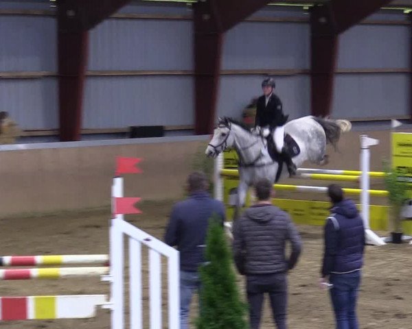 Reitturnier Behrendorf 2021