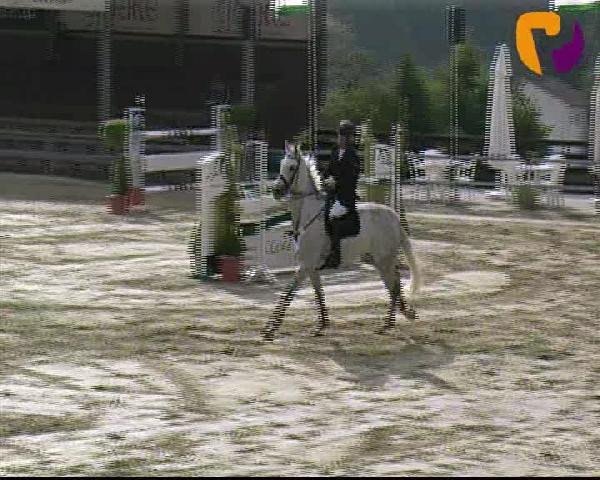 Vosswinkeler Reitertage 2012