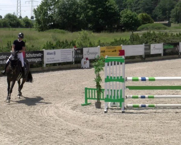 Reitturnier Sauldorf-Boll 2024
