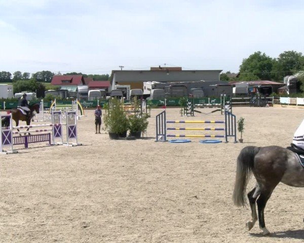 Reitturnier Sauldorf-Boll 2024