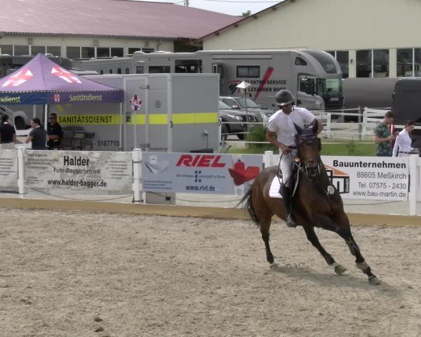 Reitturnier Sauldorf-Boll 2024