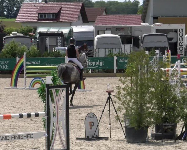 Reitturnier Sauldorf-Boll 2024