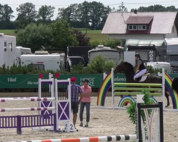 Reitturnier Sauldorf-Boll 2024