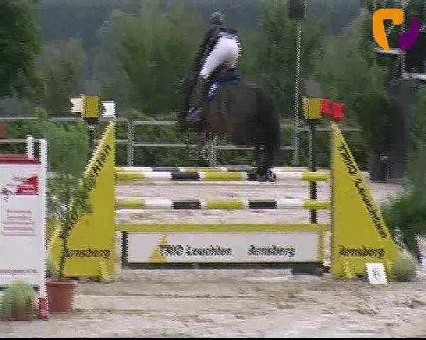Vosswinkeler Reitertage 2012