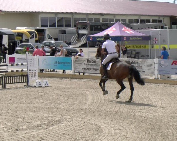 Reitturnier Sauldorf-Boll 2024