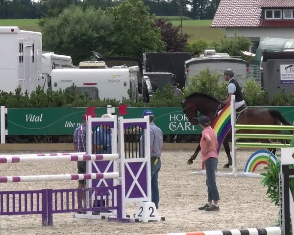 Reitturnier Sauldorf-Boll 2024
