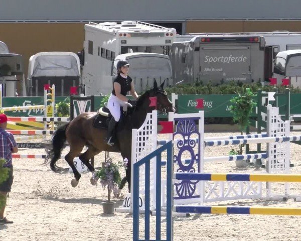 Reitturnier Sauldorf-Boll 2024