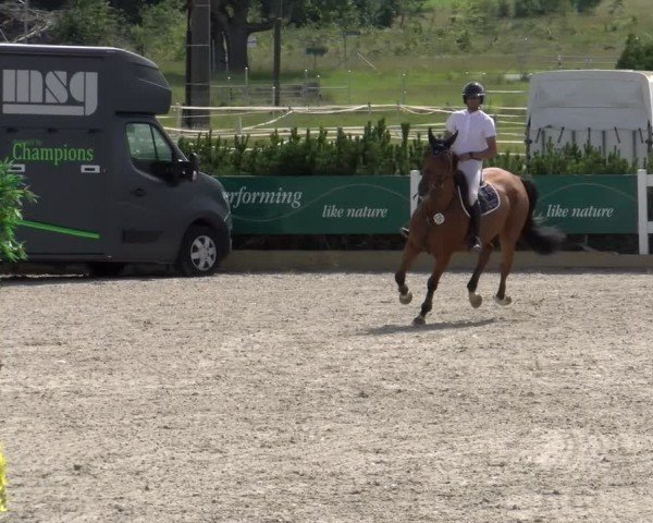 Reitturnier Sauldorf-Boll 2024