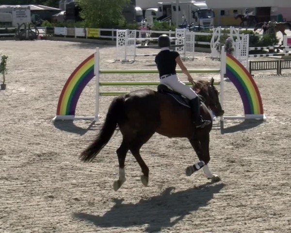 Reitturnier Sauldorf-Boll 2024