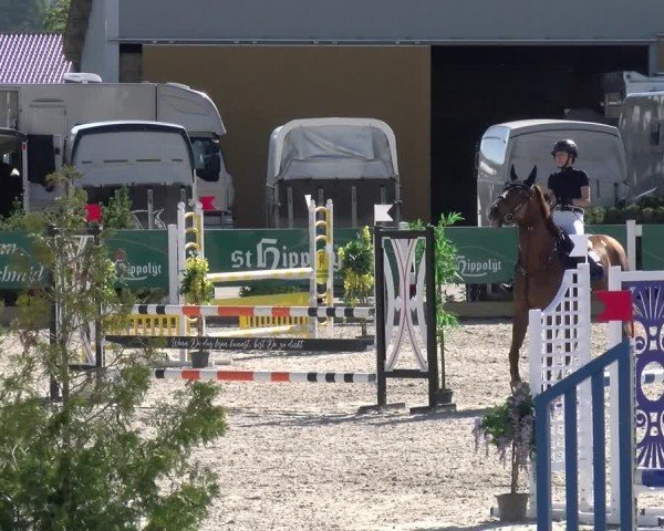 Reitturnier Sauldorf-Boll 2024