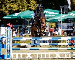 jumper Baloudia 2 (Hanoverian, 2016, from Baloubet du Rouet)