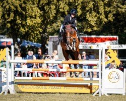 broodmare Solea Ecrasant (Oldenburg show jumper, 2014, from Kannan)