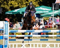 jumper Conmigo 9 (German Sport Horse, 2016, from Chaman)