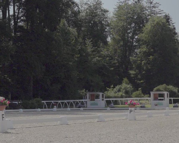 Reitturnier Grüningen 2024