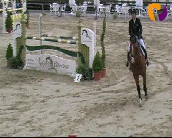 Vosswinkeler Reitertage 2012