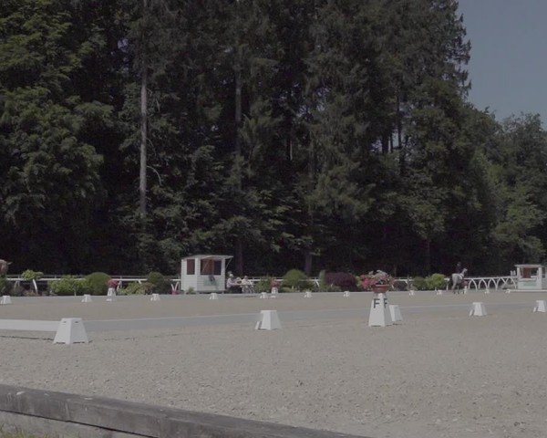 Reitturnier Grüningen 2024
