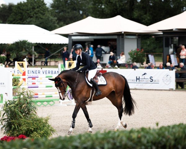 jumper Milou d'O (Holsteiner, 2019, from Origi D'o)