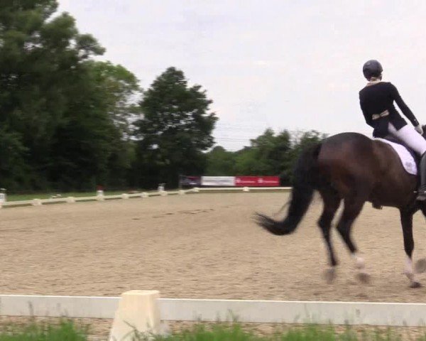 Reitturnier Münster-St. Georg | Dressurtage am Aasee 2024