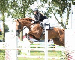jumper Diana's Clear (Oldenburg, 2006, from Florencio I)
