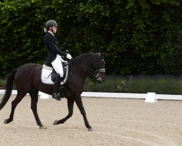 Reitturnier Lindlar - Reitanlage Dückers 2024
