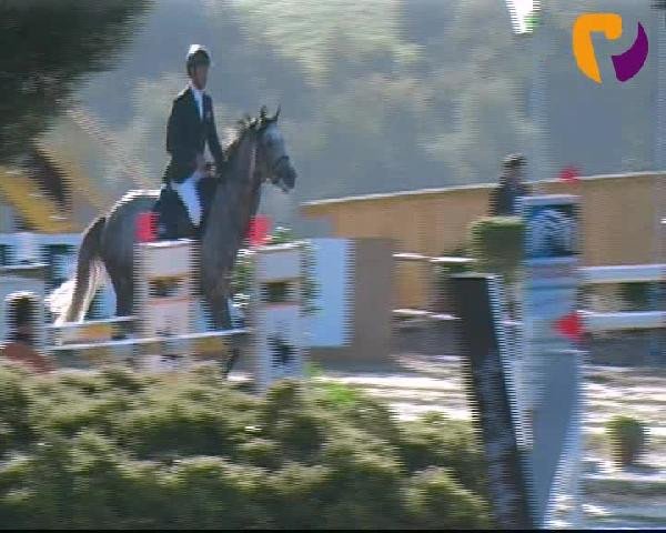 Vosswinkeler Reitertage 2012