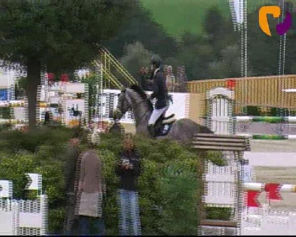 Vosswinkeler Reitertage 2012