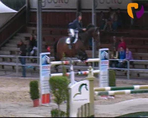 Vosswinkeler Reitertage 2012