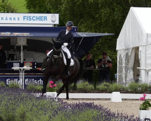 Reitturnier Lindlar - Reitanlage Dückers 2024