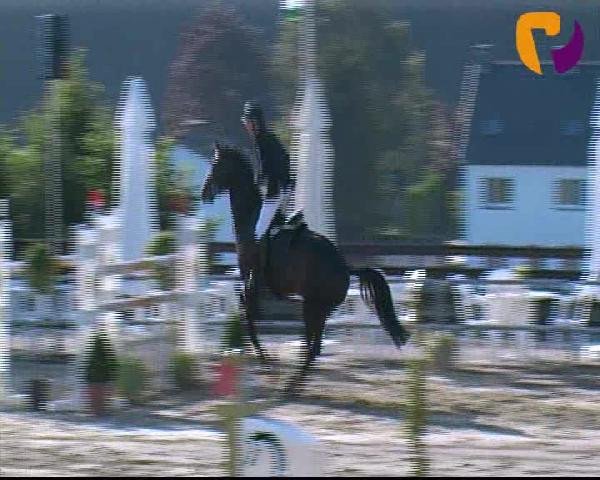 Vosswinkeler Reitertage 2012