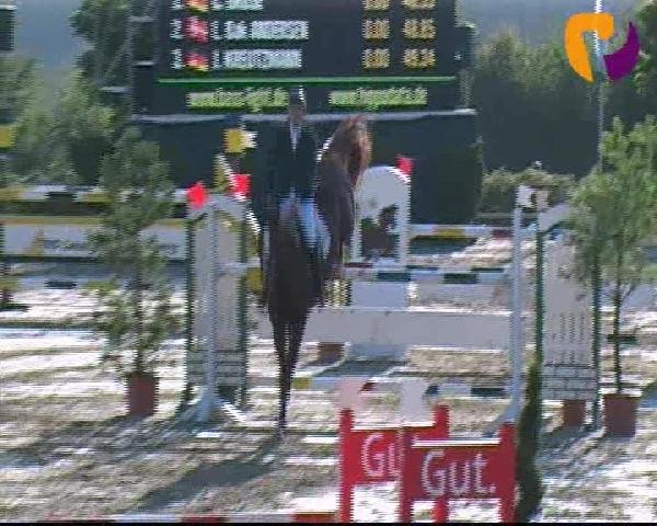 Vosswinkeler Reitertage 2012