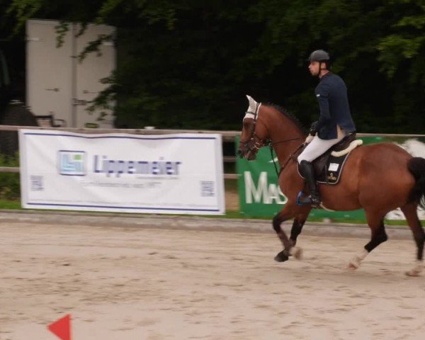 Reitturnier Waldenbuch-Hasenhof 2024