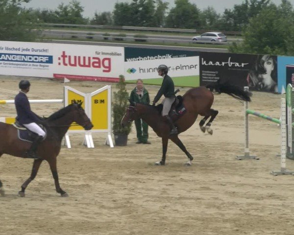 Reitturnier Wädenswil 2024