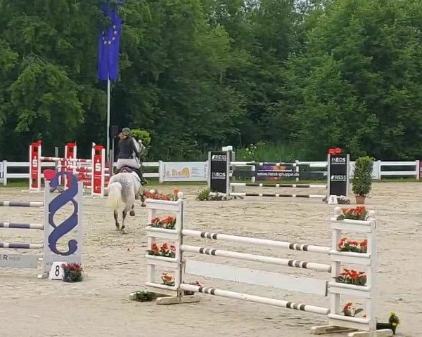 Reitturnier Isny-Rohrdorf 2024