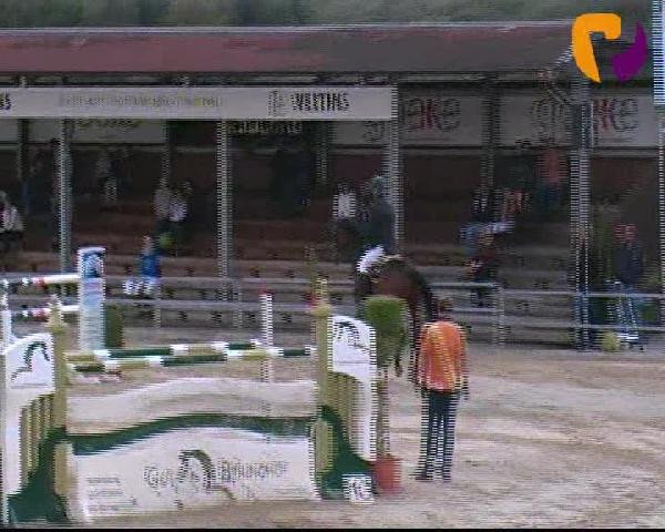 Vosswinkeler Reitertage 2012