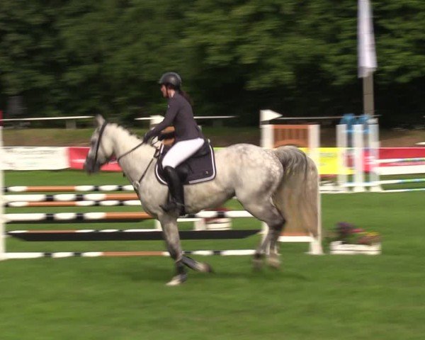 Reitturnier Nienburg 2024